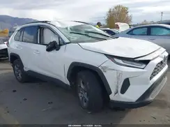 4T3RWRFV9RU133717 2024 TOYOTA RAV 4