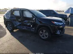 4T3RWRFV9RU134897 2024 TOYOTA RAV 4