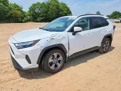 4T3RWRFV9RU135449 2024 TOYOTA RAV 4