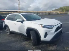 4T3RWRFV9RU149254 2024 TOYOTA RAV 4