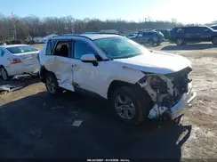 4T3RWRFV9RU161596 2024 TOYOTA RAV 4