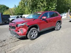4T3RWRFV9SU169106 2025 TOYOTA RAV 4