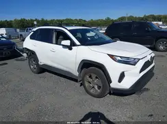 4T3RWRFV9SU209975 2025 TOYOTA RAV 4