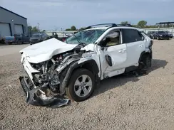 4T3RWRFVXMU026409 2021 TOYOTA RAV 4