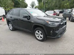 4T3RWRFVXMU033330 2021 TOYOTA RAV 4