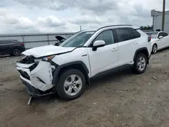 4T3RWRFVXMU039709 2021 TOYOTA RAV 4