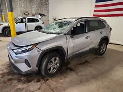 4T3RWRFVXPU093810 2023 TOYOTA RAV 4