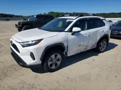 4T3RWRFVXRU110138 2024 TOYOTA RAV 4