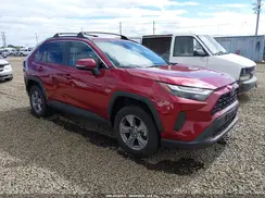 4T3RWRFVXRU118188 2024 TOYOTA RAV 4