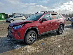 4T3RWRFVXRU126887 2024 TOYOTA RAV 4