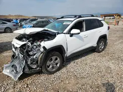 4T3RWRFVXRU128624 2024 TOYOTA RAV 4