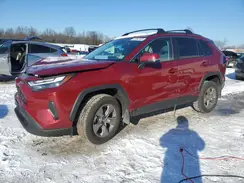 4T3RWRFVXRU134570 2024 TOYOTA RAV 4