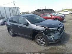 4T3RWRFVXRU135590 2024 TOYOTA RAV 4