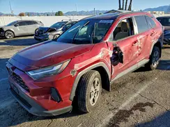 4T3RWRFVXRU135699 2024 TOYOTA RAV 4