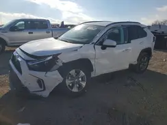 4T3RWRFVXRU136089 2024 TOYOTA RAV 4