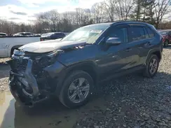 4T3RWRFVXRU137761 2024 TOYOTA RAV 4