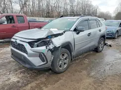 4T3RWRFVXRU137937 2024 TOYOTA RAV 4