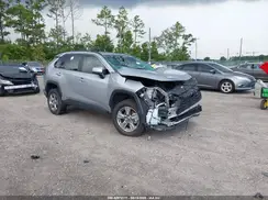 4T3RWRFVXRU145407 2024 TOYOTA RAV 4