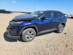 4T3RWRFVXRU157007 2024 TOYOTA RAV 4