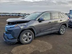 4T3RWRFVXRU157282 2024 TOYOTA RAV 4