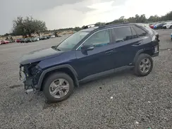 4T3RWRFVXRU158075 2024 TOYOTA RAV 4