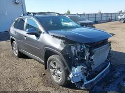 4T3RWRFVXSU168966 2025 TOYOTA RAV 4