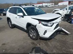 4T3RWRFVXSU181555 2025 TOYOTA RAV 4