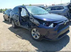 4T3RWRFVXSU185427 2025 TOYOTA RAV 4