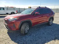 4T3RWRFVXSU210455 2025 TOYOTA RAV 4