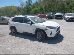 4T3RWRFVXSU214134 2025 TOYOTA RAV 4