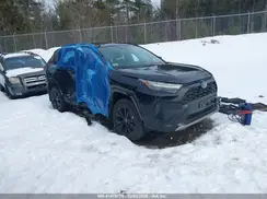 4T3T6RFV0PU120454 2023 TOYOTA RAV 4