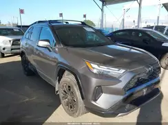 4T3T6RFV0PU122706 2023 TOYOTA RAV 4