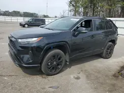 4T3T6RFV0RU141131 2024 TOYOTA RAV 4