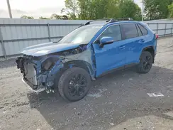 4T3T6RFV0RU143204 2024 TOYOTA RAV 4
