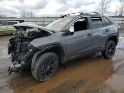 4T3T6RFV0RU146202 2024 TOYOTA RAV 4