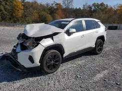 4T3T6RFV1PU113612 2023 TOYOTA RAV 4