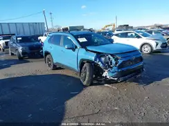 4T3T6RFV1PU125744 2023 TOYOTA RAV 4