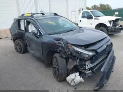 4T3T6RFV1PU126599 2023 TOYOTA RAV 4