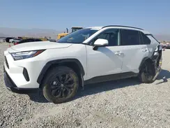 4T3T6RFV1RU144894 2024 TOYOTA RAV 4