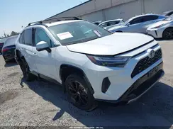 4T3T6RFV1RU145897 2024 TOYOTA RAV 4