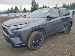 4T3T6RFV1RU159556 2024 TOYOTA RAV 4