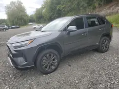 4T3T6RFV2NU101207 2022 TOYOTA RAV 4