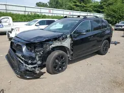 4T3T6RFV2RU149151 2024 TOYOTA RAV 4