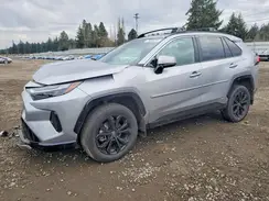 4T3T6RFV2RU156388 2024 TOYOTA RAV 4