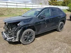 4T3T6RFV3NU073675 2022 TOYOTA RAV 4