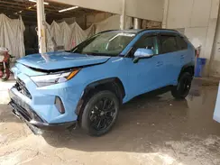 4T3T6RFV3PU134056 2023 TOYOTA RAV 4