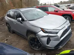 4T3T6RFV4PU113703 2023 TOYOTA RAV 4