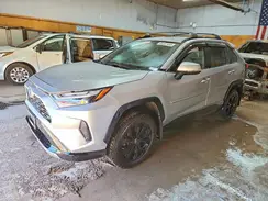 4T3T6RFV4PU116939 2023 TOYOTA RAV 4