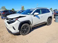 4T3T6RFV4PU122286 2023 TOYOTA RAV 4