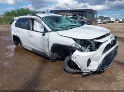 4T3T6RFV4PU130260 2023 TOYOTA RAV 4
